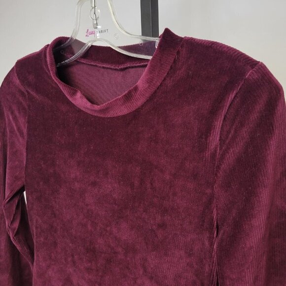 Soft Ribbed  Velvet Dress - Picture 2 of 3